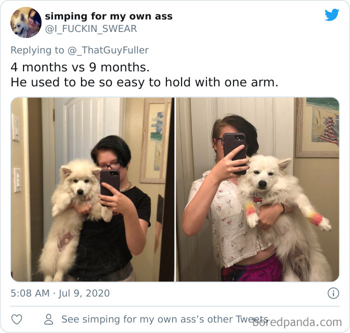 People-Share-Dog-Photos-Then-And-Now