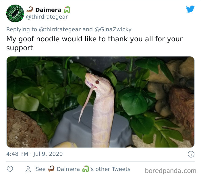 Ugly-Pictures-Of-Pets