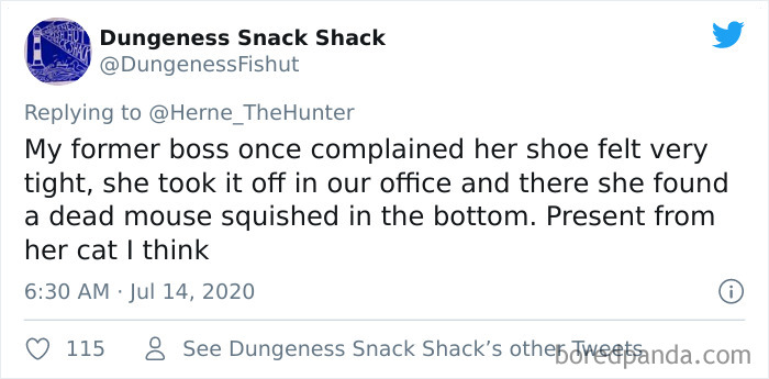 Intelligent-Adults-Share-Tweet-Embarrassing-Moments