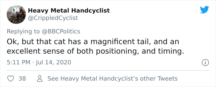 "I Apologize For My Cat’s Tail": Scottish MP Goes Viral After His Cat Photobombs A Zoom Meeting "I Apologize For My Cat’s Tail": Scottish MP Goes Viral After His Cat Photobombs A Zoom Meeting