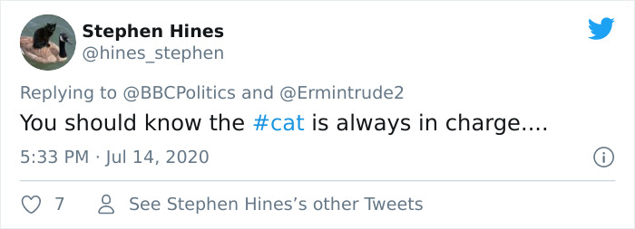 "I Apologize For My Cat&rsquo;s Tail": Scottish MP Goes Viral After His Cat Photobombs A Zoom Meeting