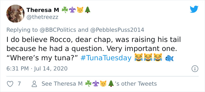 "I Apologize For My Cat&rsquo;s Tail": Scottish MP Goes Viral After His Cat Photobombs A Zoom Meeting