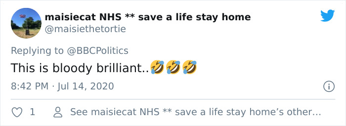 "I Apologize For My Cat&rsquo;s Tail": Scottish MP Goes Viral After His Cat Photobombs A Zoom Meeting