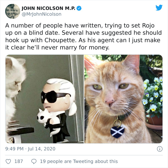 "I Apologize For My Cat’s Tail": Scottish MP Goes Viral After His Cat Photobombs A Zoom Meeting "I Apologize For My Cat’s Tail": Scottish MP Goes Viral After His Cat Photobombs A Zoom Meeting