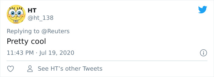 You Can Experience Camping Like Never Before With These Tear-Shaped Tents