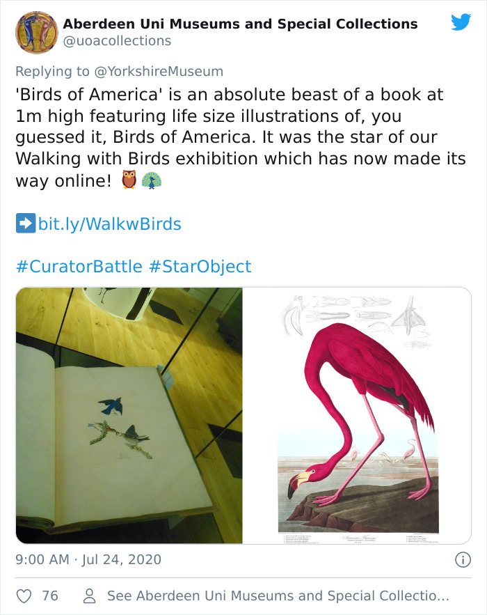 Museums-Compete-Star-Object