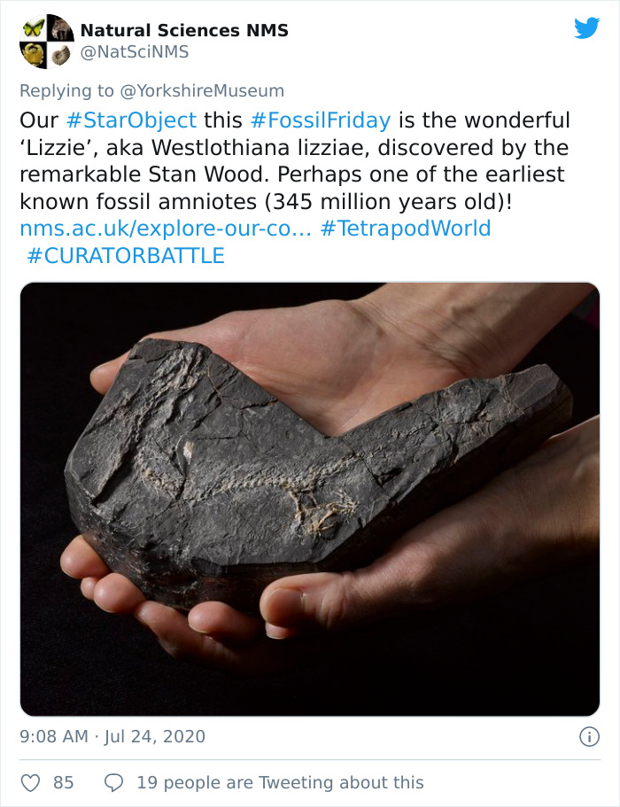 Museums-Compete-Star-Object