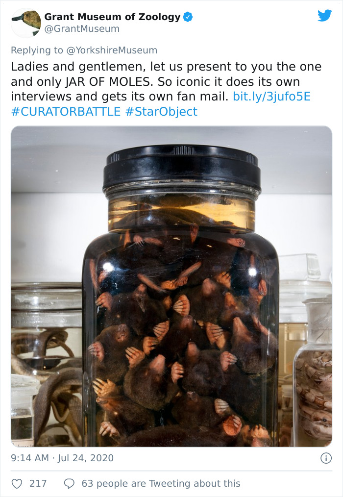 Museums-Compete-Star-Object