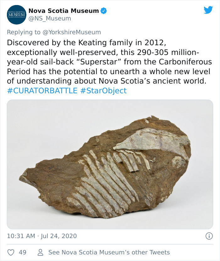 Museums-Compete-Star-Object