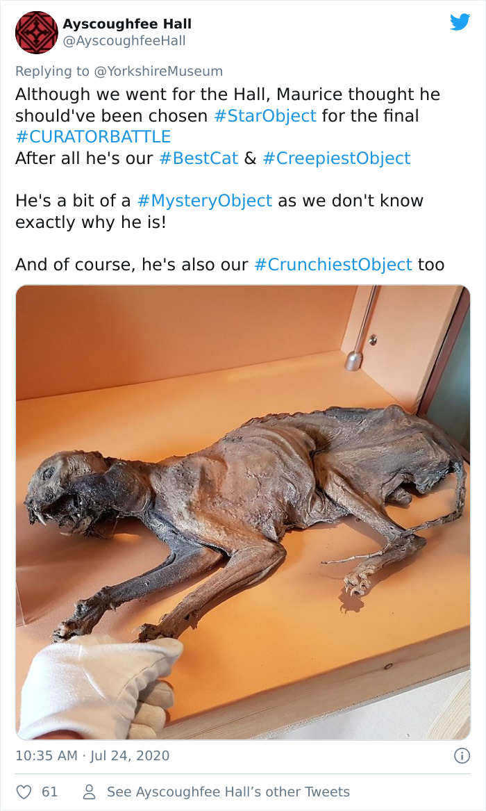 Museums-Compete-Star-Object