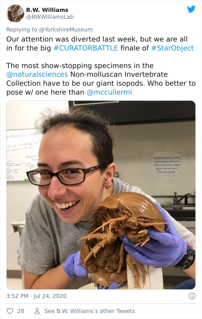 Museums-Compete-Star-Object