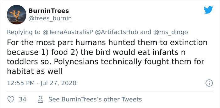 Archaeologists Find 3,300-Year-Old Claw Of A Bird That Went Extinct 700 Years Ago, And People Say 2020 Is Not The Right Year To Clone It Archaeologists Find 3,300-Year-Old Claw Of A Bird That Went Extinct 700 Years Ago, And People Say 2020 Is Not The Right Year To Clone It