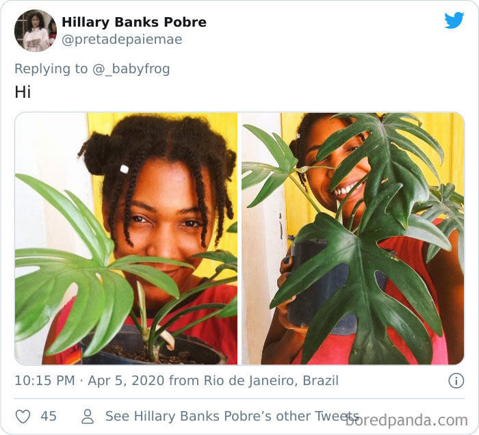 Plants-Obsession-Illustration-Cecile-Dormeau