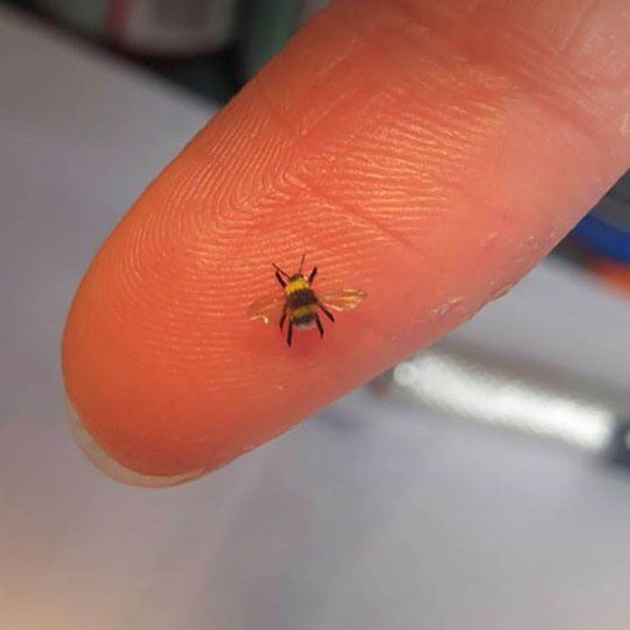 Tiny-Dollhouse-Animals-Miniatures-Fanni-Sandor