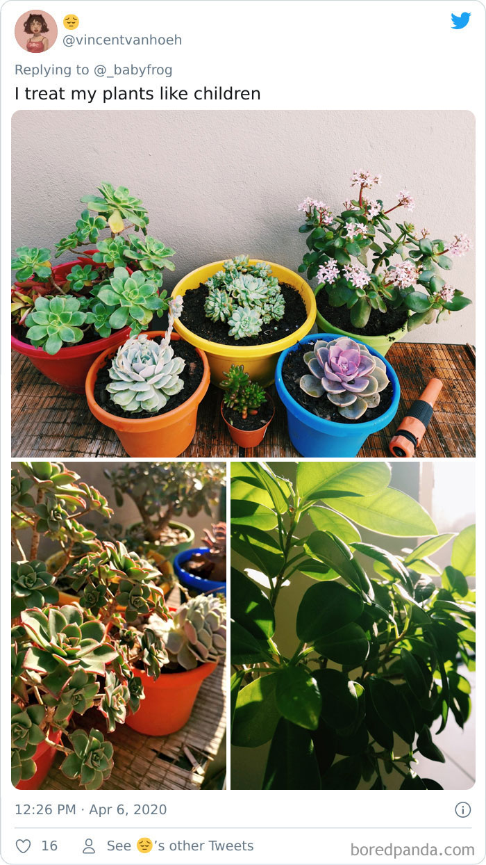 Plants-Obsession-Illustration-Cecile-Dormeau