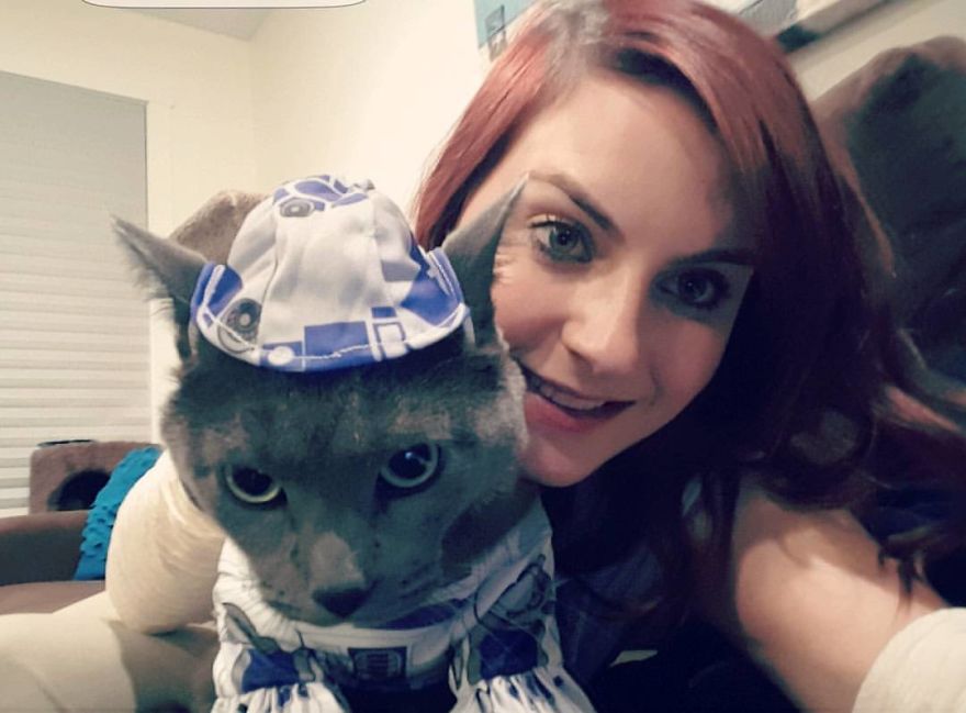 Woman Left Her Cat In Her Yard, Ran Outside After Hearing Screams To Find There Were Two Of Them And She Couldn't Tell Who Was Who