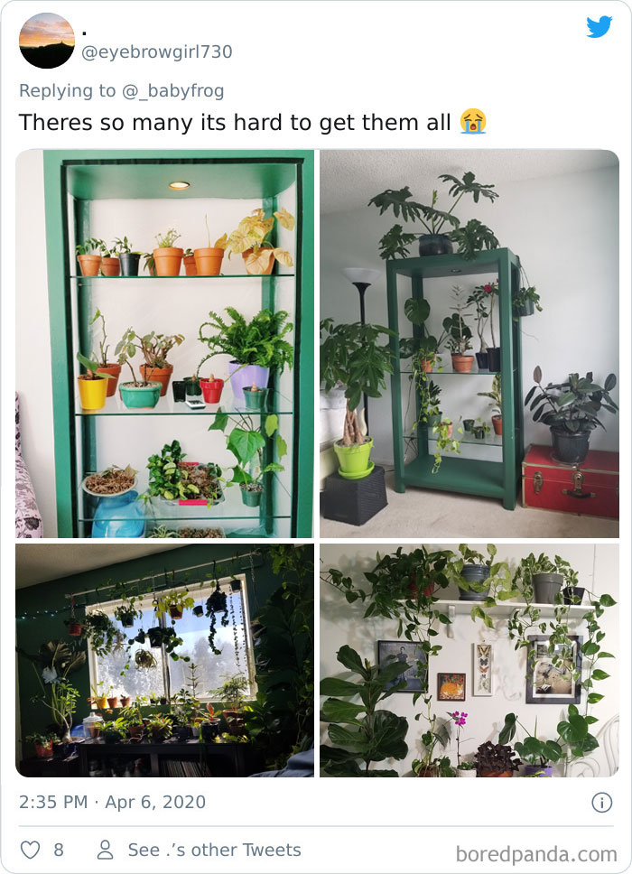 Plants-Obsession-Illustration-Cecile-Dormeau