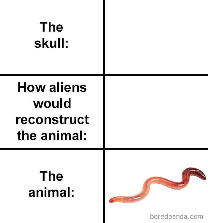 Skull-How-Aliens-Would-Reconstruct-Animal-Meme