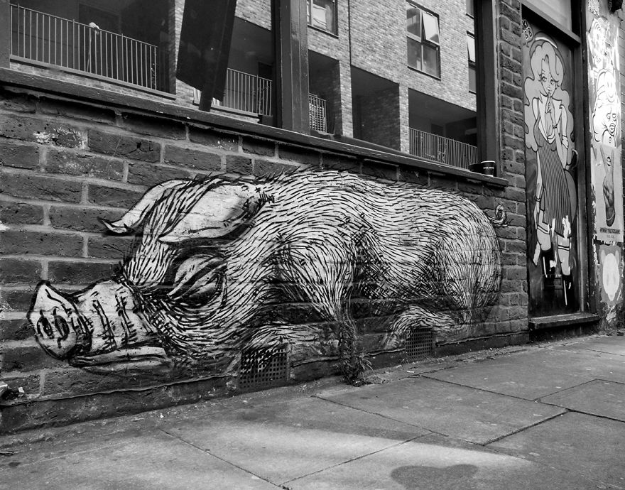 I Capture Street Art Walking Around London