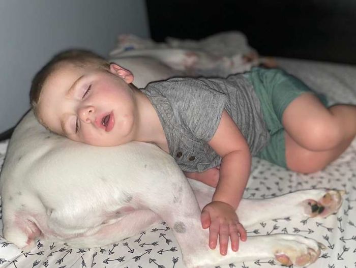 Camera Captures Adorable Moment Little Boy Sneaks Out Of His Bed To Sleep With His Dog Camera Captures Adorable Moment Little Boy Sneaks Out Of His Bed To Sleep With His Dog