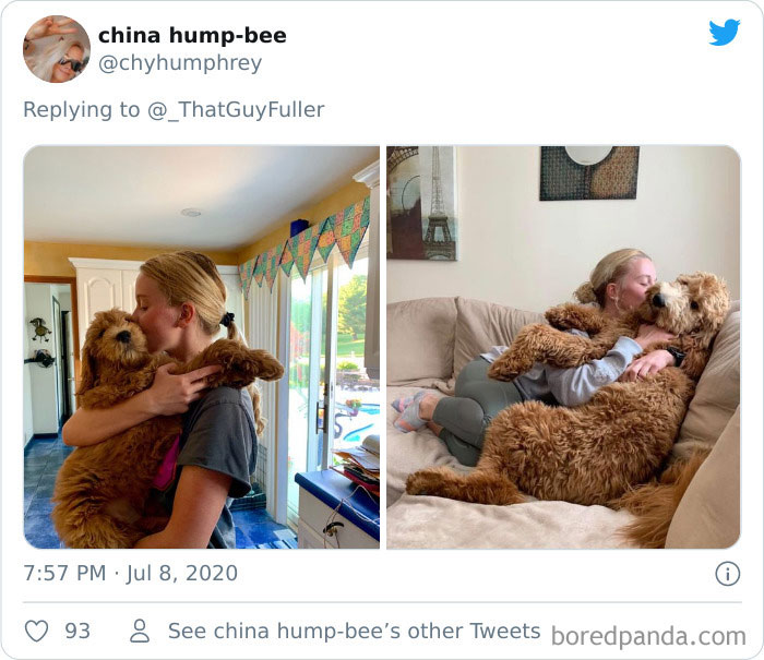 People-Share-Dog-Photos-Then-And-Now