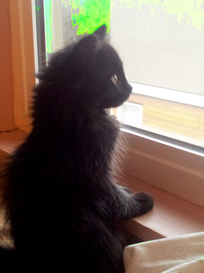 I Wanna Go 'Sploring!