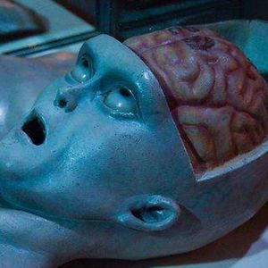 jasonstrickland10 avatar