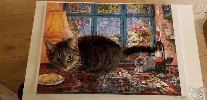 Cleo Standing On A Jigsaw...of A Cat Standing On A Jigsaw