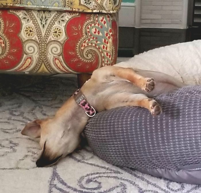 Can't Play Anymore. Must Sleep!!