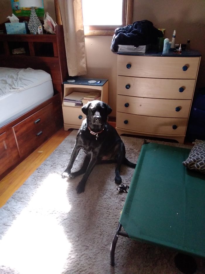 This Is Max, In My Opinion All His Pictures Are Cute, But This Is One Of The Most Recent Ones