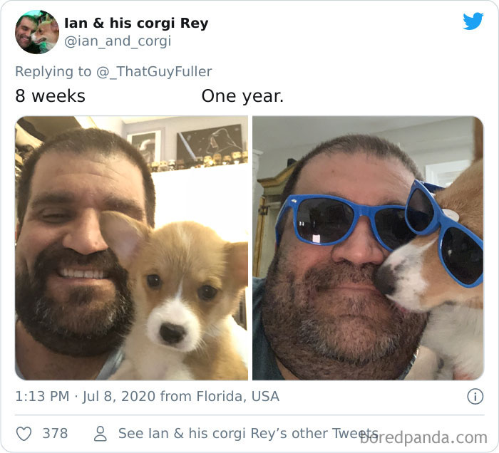 People-Share-Dog-Photos-Then-And-Now