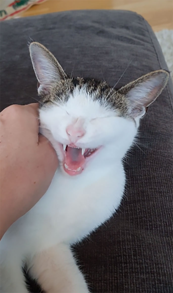 I'm Sorry For Doing It Now And Then.. Who Else Can't Resist?