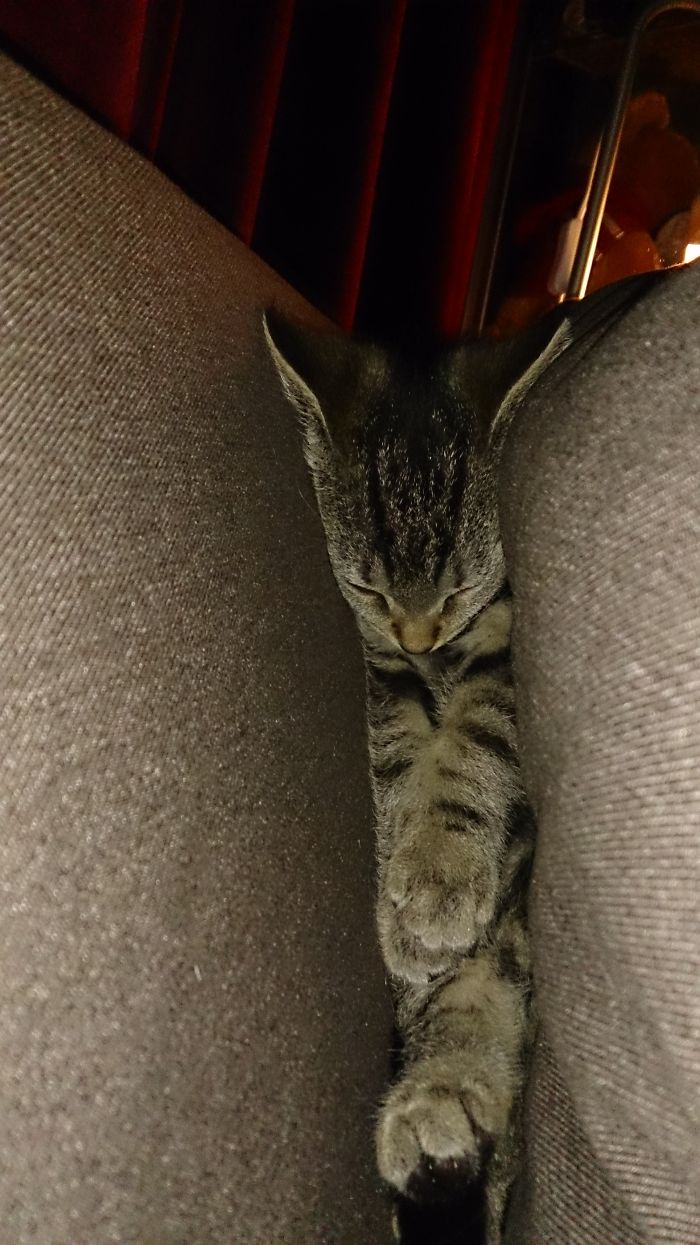 When We Found Him After Searching For Half An Hour...