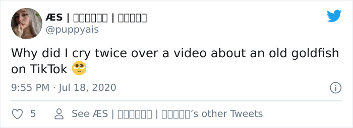 Dying, Neglected 10-Year-Old Goldfish Gets Returned To A Petstore, So This Person Nurses It Back To Health