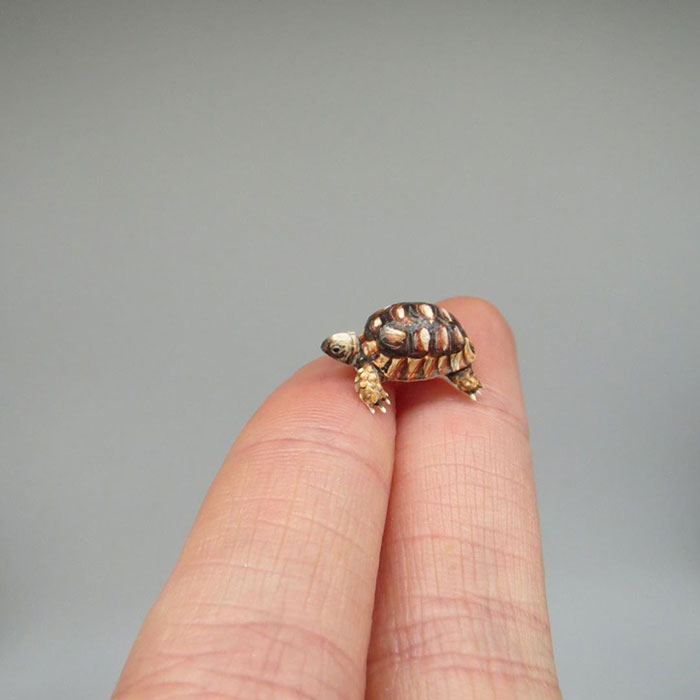 Tiny-Dollhouse-Animals-Miniatures-Fanni-Sandor