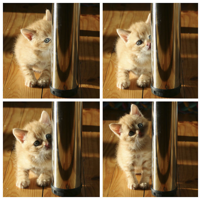 Almost 9 Years Ago. 1 Month + 1 Week Old