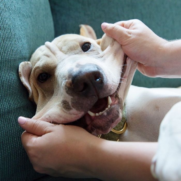 Whyyyyy Sooo Serious?!