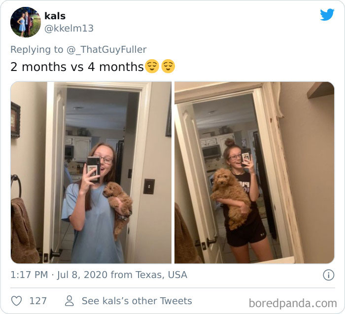 People-Share-Dog-Photos-Then-And-Now