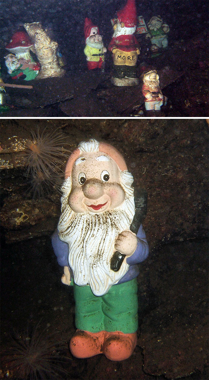 30 Of The Creepiest Things People Have Seen While Diving