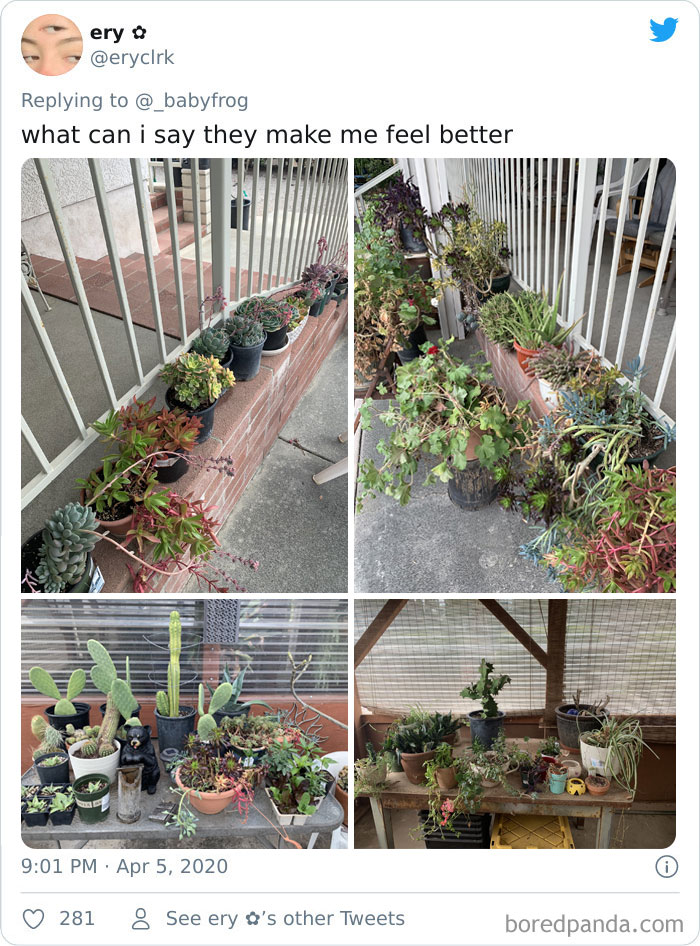 Plants-Obsession-Illustration-Cecile-Dormeau