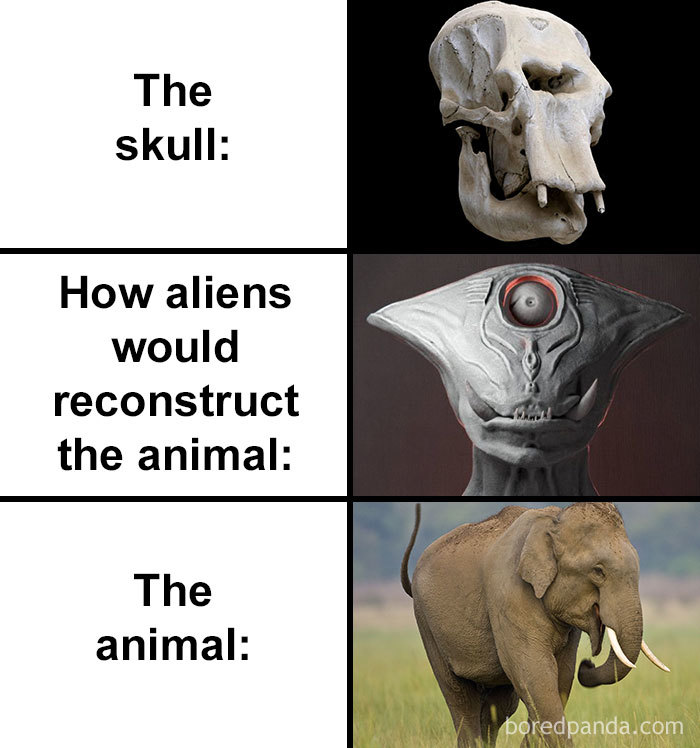 Skull-How-Aliens-Would-Reconstruct-Animal-Meme