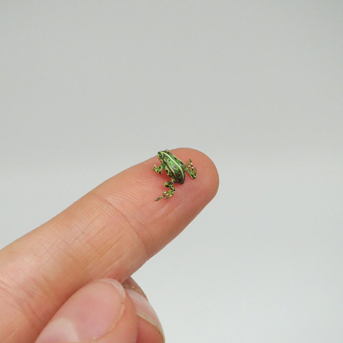 Tiny-Dollhouse-Animals-Miniatures-Fanni-Sandor