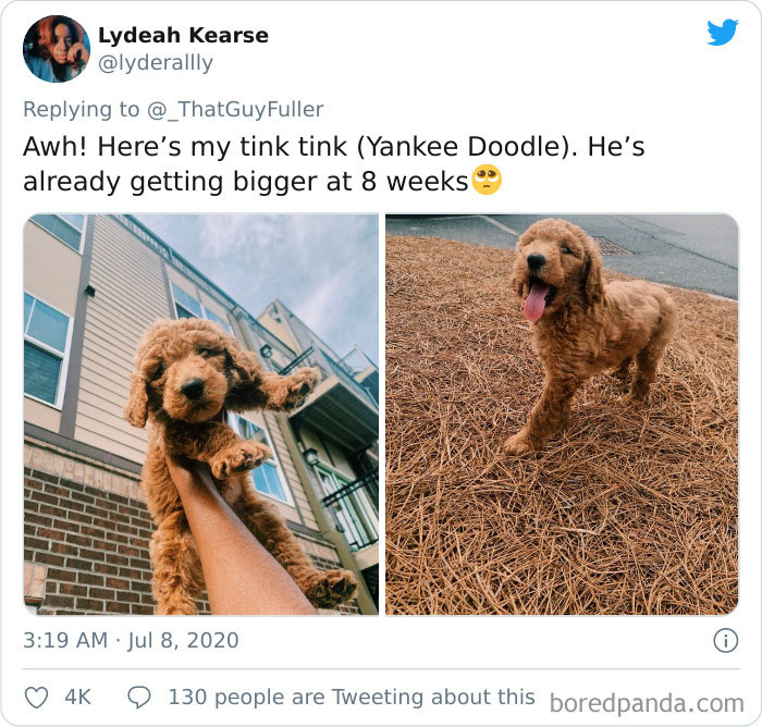 People-Share-Dog-Photos-Then-And-Now