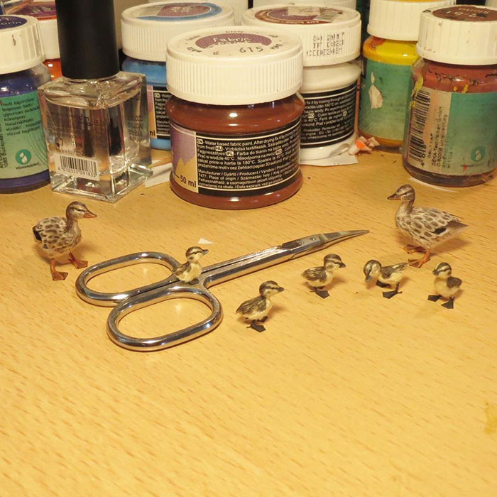 Tiny-Dollhouse-Animals-Miniatures-Fanni-Sandor