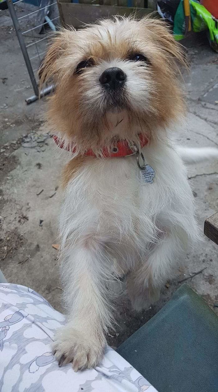 Olly, My Baby Boy 😊