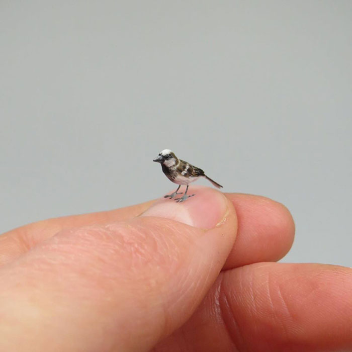 Tiny-Dollhouse-Animals-Miniatures-Fanni-Sandor