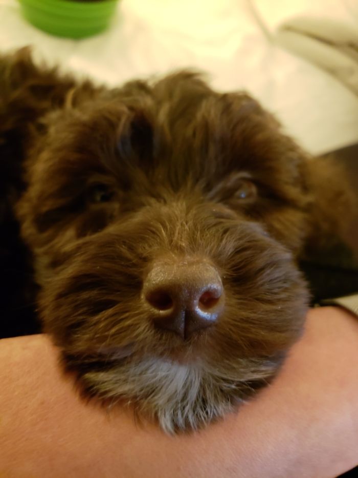 Lisette Seems To Approve Of Her Adoption