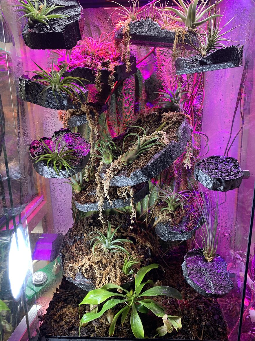 I Visited Texas Triffid Ranch: Dallas’s Carnivorous Plant Gallery (14 Pics)