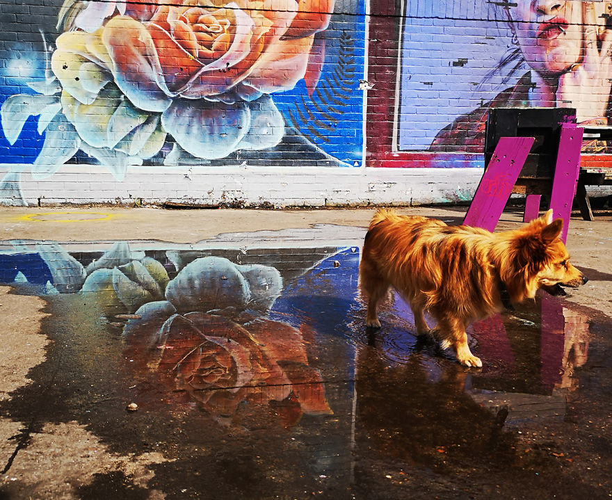 I Capture Street Art Walking Around London