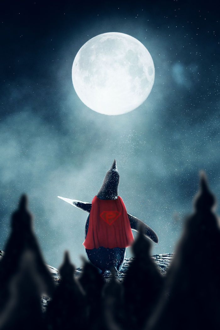 Penguin (Man Of Steel)